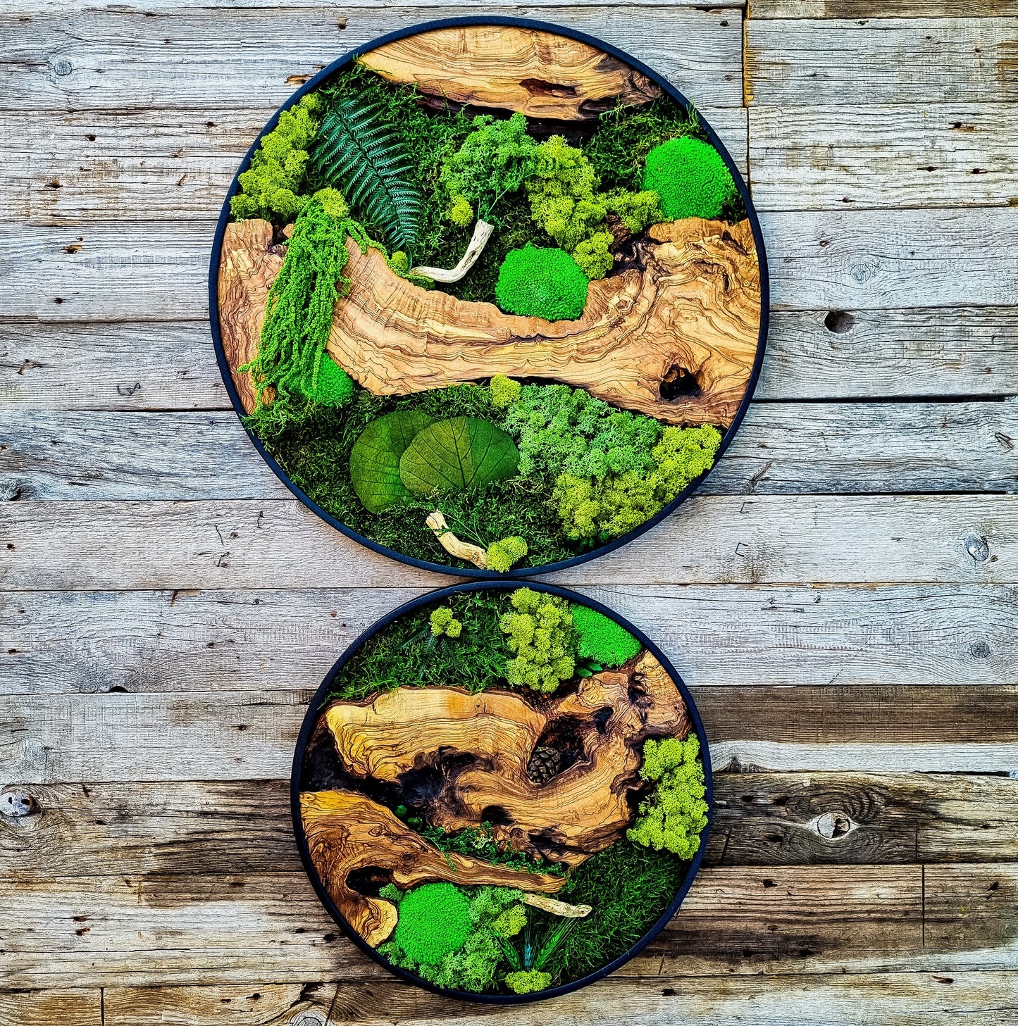 Custom Made Moss & Wood Wall-Custom Wall Decor, Moss Wall Art, Botanical Wall Art, Wall Decoration, Unique Wall Decor, Living Room Decor