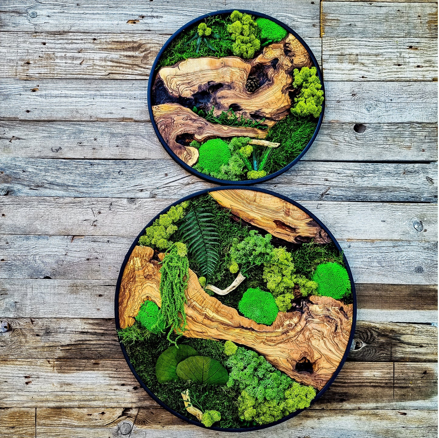 Custom Made Moss & Wood Wall-Custom Wall Decor, Moss Wall Art, Botanical Wall Art, Wall Decoration, Unique Wall Decor, Living Room Decor