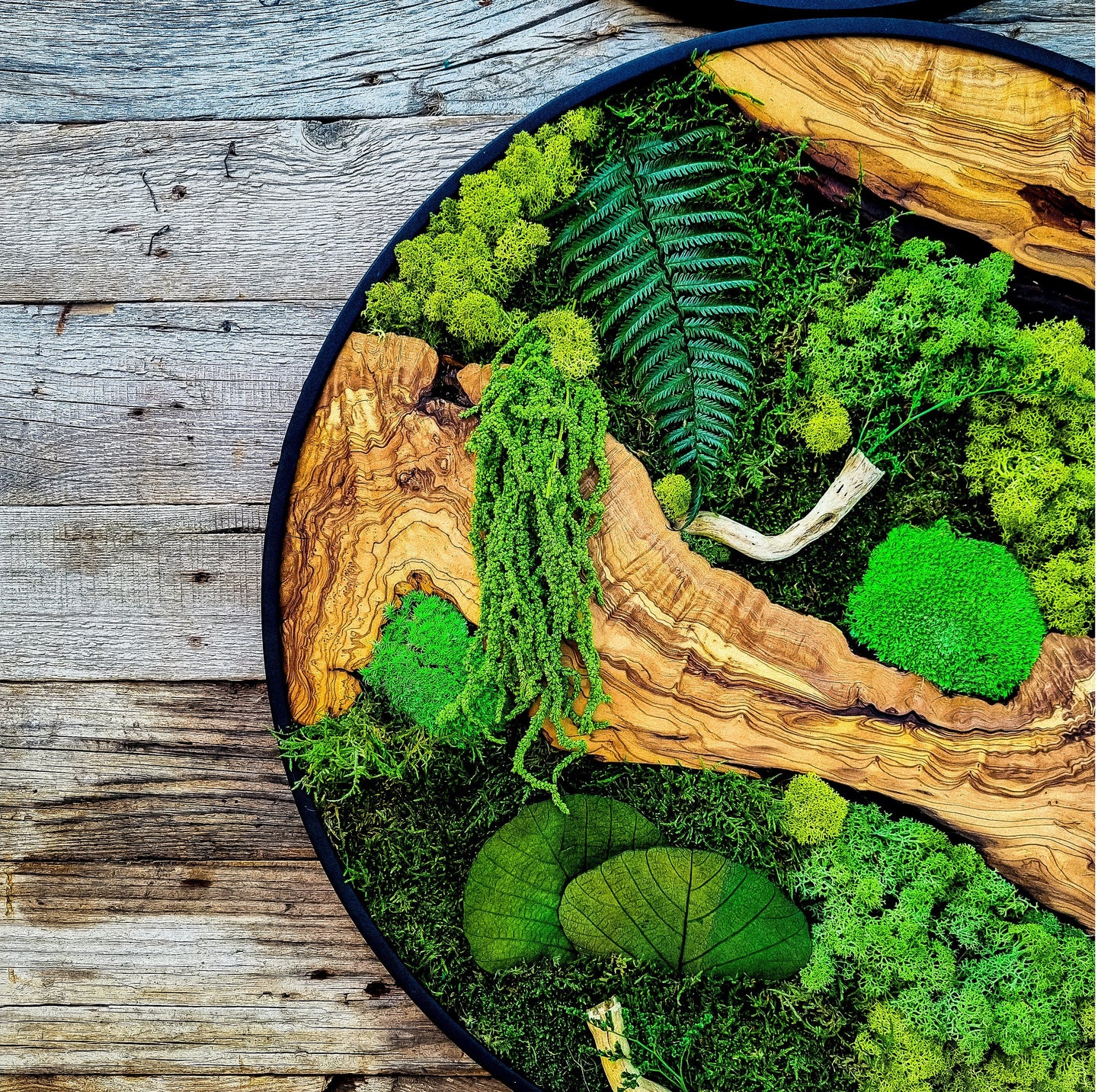Custom Made Moss & Wood Wall-Custom Wall Decor, Moss Wall Art, Botanical Wall Art, Wall Decoration, Unique Wall Decor, Living Room Decor