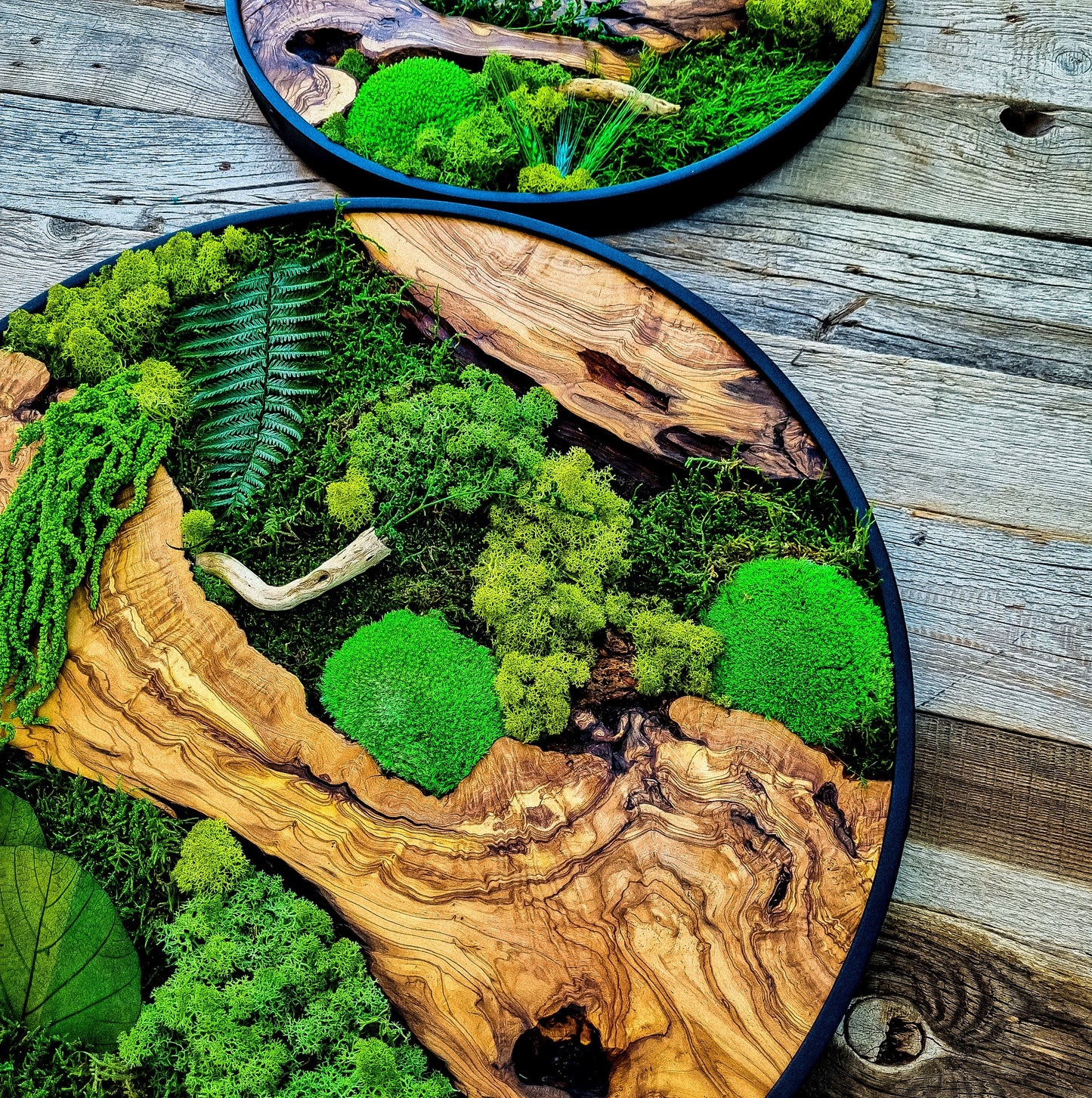Custom Made Moss & Wood Wall-Custom Wall Decor, Moss Wall Art, Botanical Wall Art, Wall Decoration, Unique Wall Decor, Living Room Decor