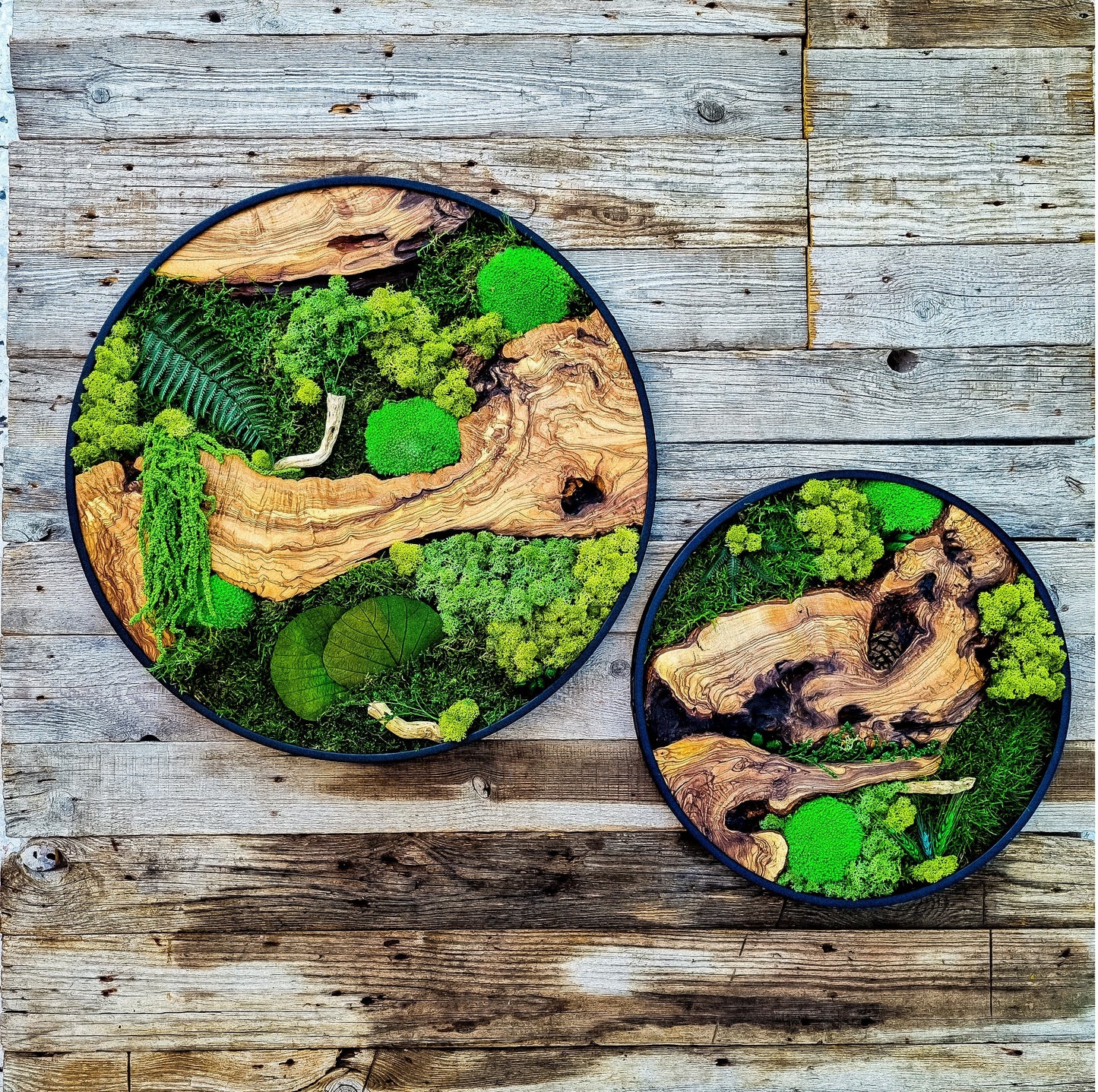 Custom Made Moss & Wood Wall-Custom Wall Decor, Moss Wall Art, Botanical Wall Art, Wall Decoration, Unique Wall Decor, Living Room Decor
