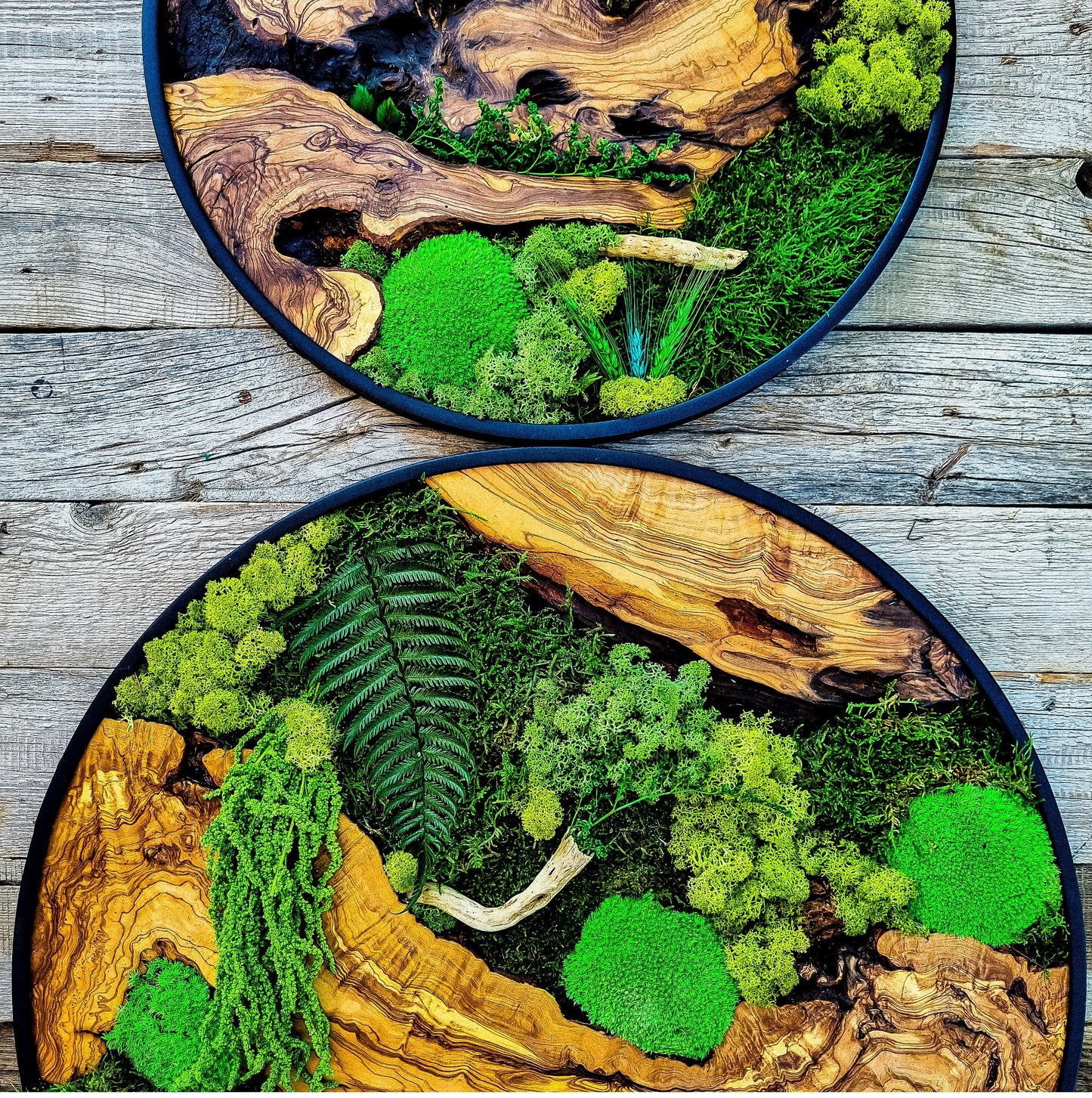 Custom Made Moss & Wood Wall-Custom Wall Decor, Moss Wall Art, Botanical Wall Art, Wall Decoration, Unique Wall Decor, Living Room Decor