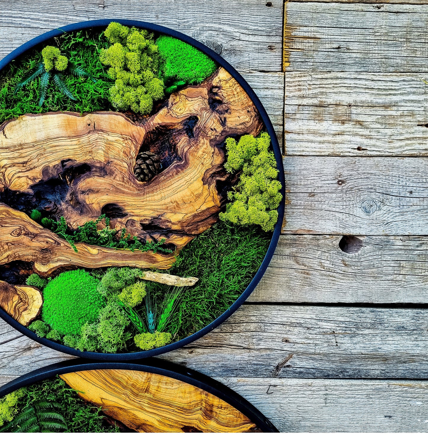 Custom Made Moss & Wood Wall-Custom Wall Decor, Moss Wall Art, Botanical Wall Art, Wall Decoration, Unique Wall Decor, Living Room Decor
