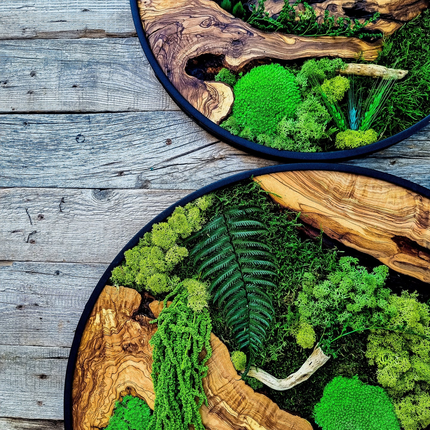 Custom Made Moss & Wood Wall-Custom Wall Decor, Moss Wall Art, Botanical Wall Art, Wall Decoration, Unique Wall Decor, Living Room Decor