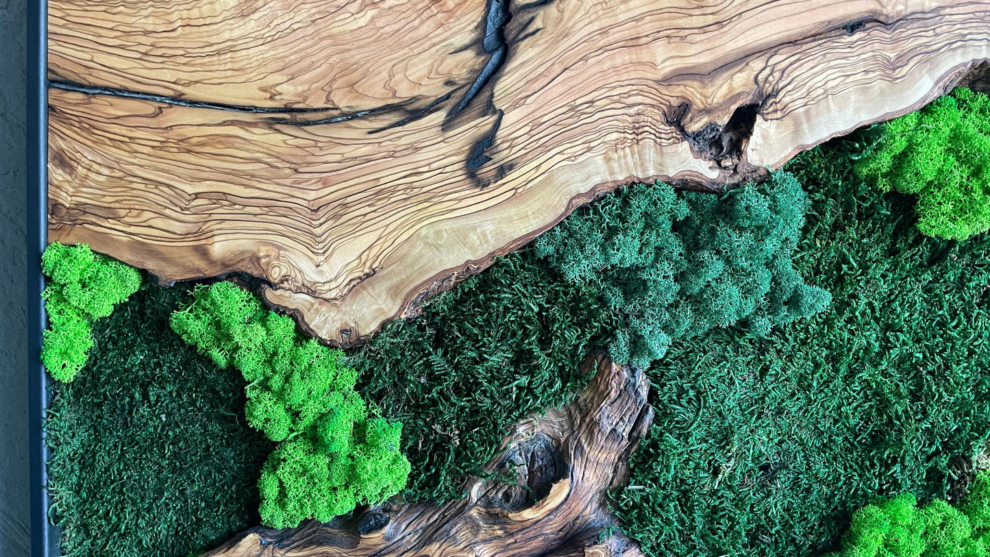 Moss and Wood Wall Art, Natural Wood & Moss Wall Decor for Home, Rustic Greenery Decor