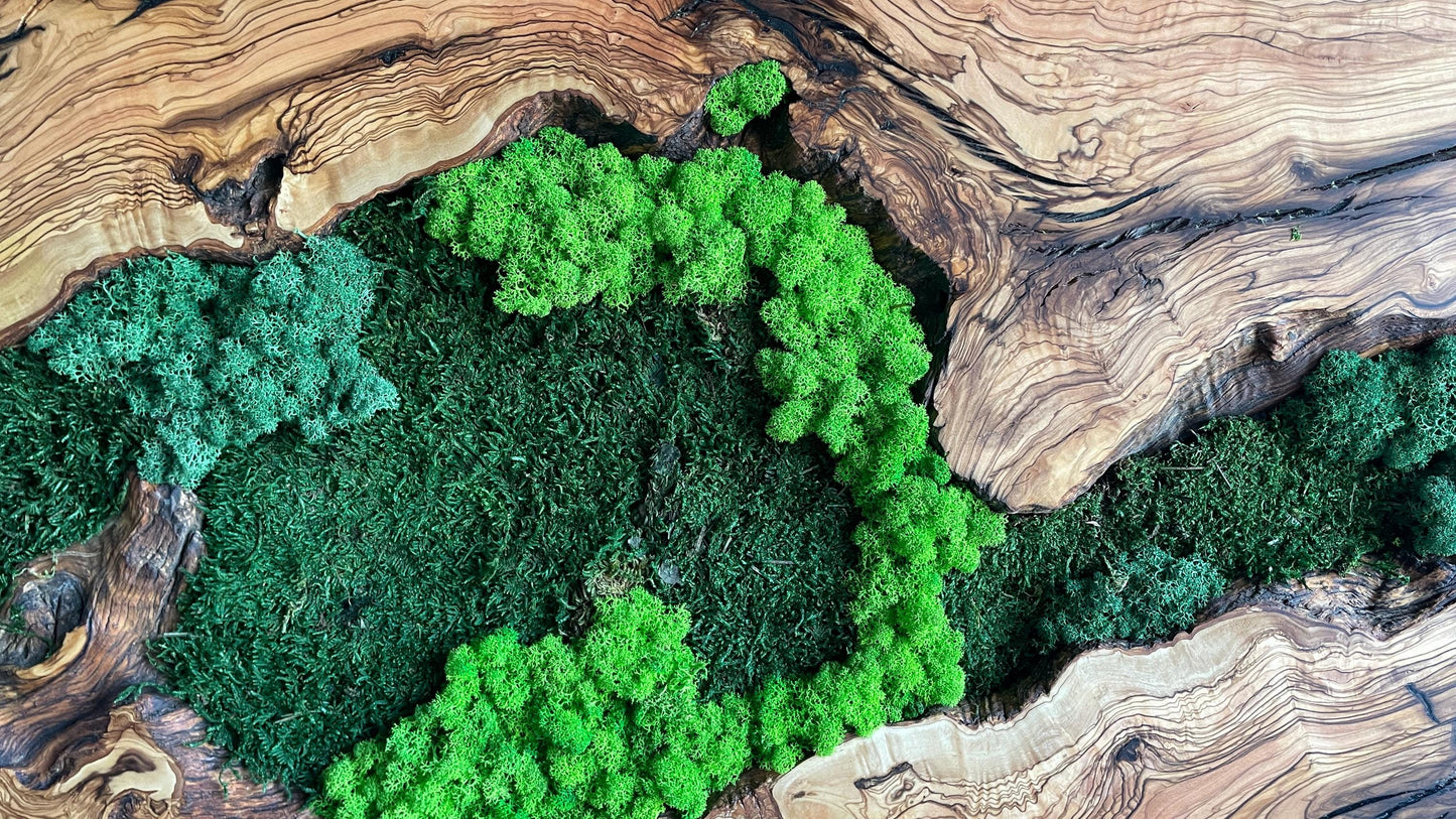 Moss and Wood Wall Art, Natural Wood & Moss Wall Decor for Home, Rustic Greenery Decor