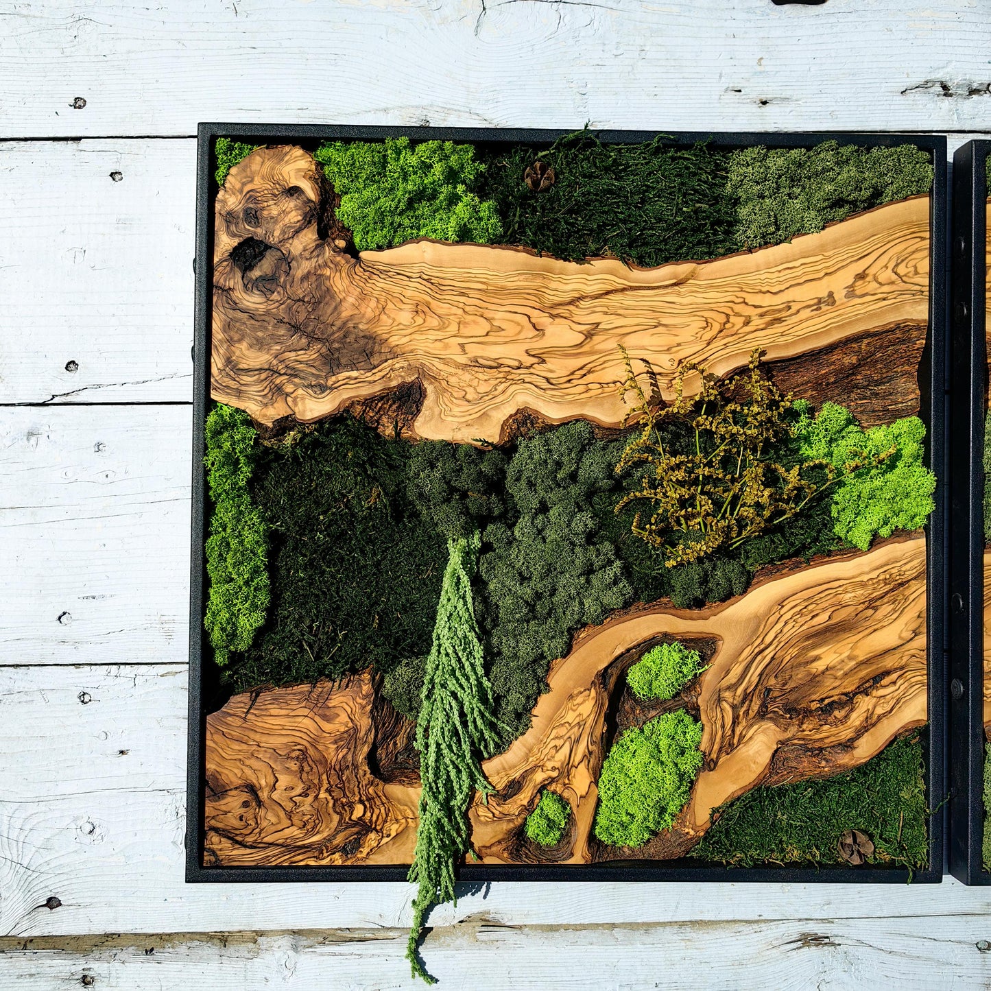Moss & Wood Wall Art, Custom Made Moss and Olive Wood Wall Art, Unique Handmade Wall Hanging, Eco-Friendly Interior Accent