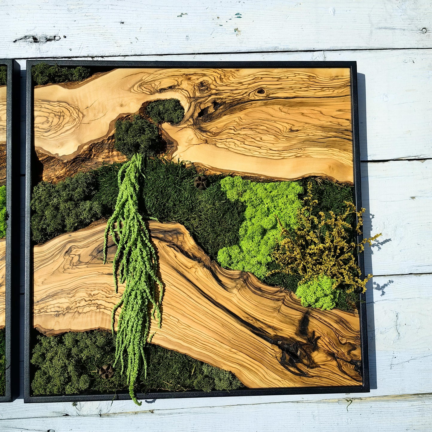 Moss & Wood Wall Art, Custom Made Moss and Olive Wood Wall Art, Unique Handmade Wall Hanging, Eco-Friendly Interior Accent
