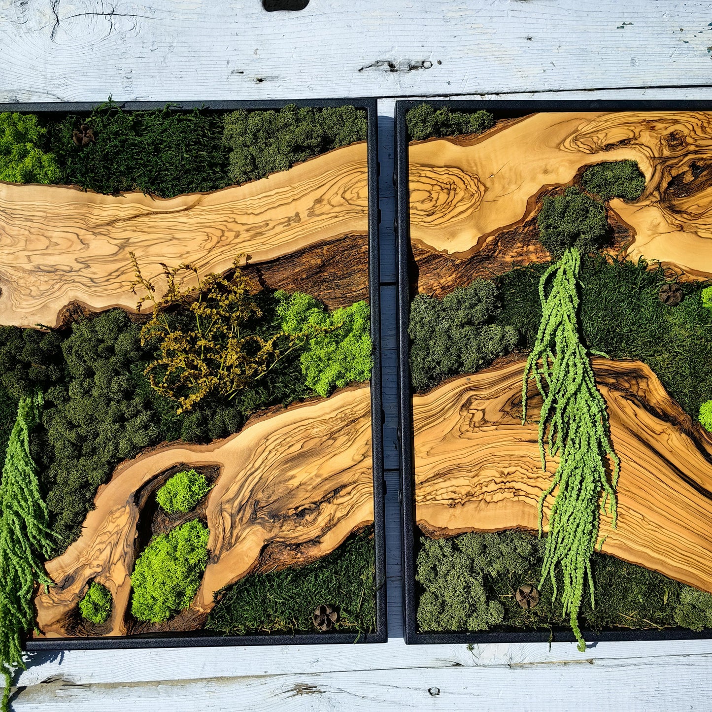 Moss & Wood Wall Art, Custom Made Moss and Olive Wood Wall Art, Unique Handmade Wall Hanging, Eco-Friendly Interior Accent