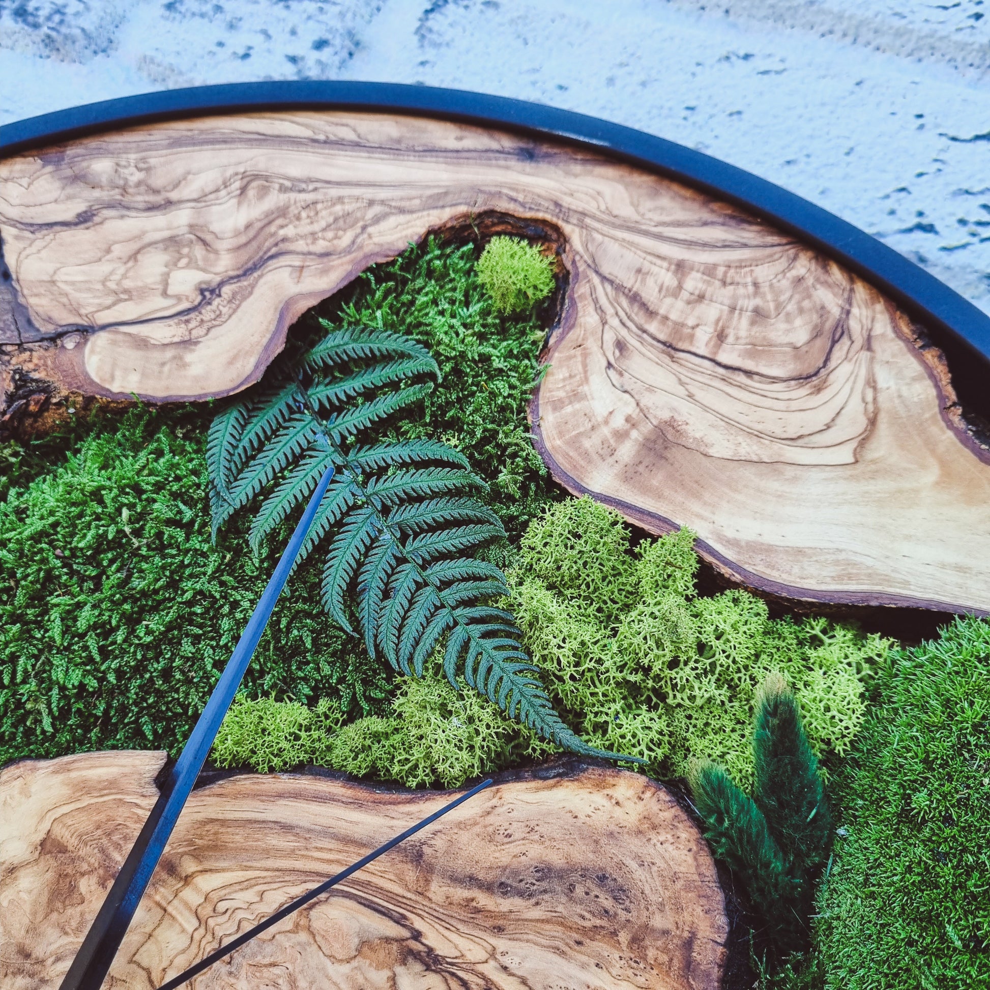 Moss Wall Clock-Made To Order Wood Wall Clock, Moss Clock For Wall, Wall Clock Decor, Custom Made Moss, Moss Wall Art, Christmas Gift