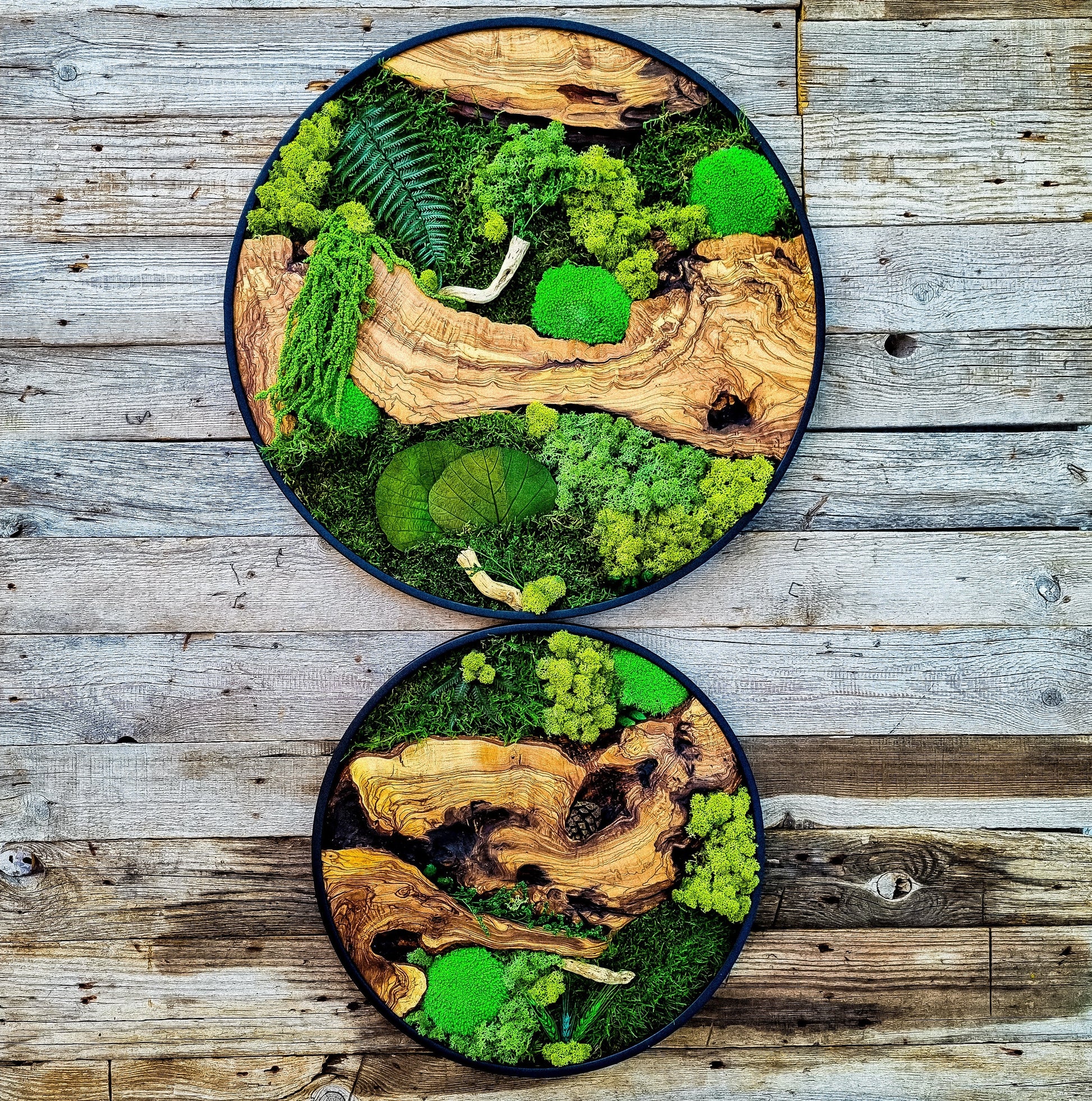 Custom Made Moss & Wood Wall-Custom Wall Decor, Moss Wall Art, Botanical Wall Art, Wall Decoration, Unique Wall Decor, Living Room Decor