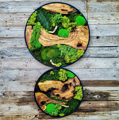Custom Made Moss & Wood Wall-Custom Wall Decor, Moss Wall Art, Botanical Wall Art, Wall Decoration, Unique Wall Decor, Living Room Decor
