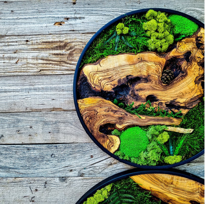 Custom Made Moss & Wood Wall-Custom Wall Decor, Moss Wall Art, Botanical Wall Art, Wall Decoration, Unique Wall Decor, Living Room Decor
