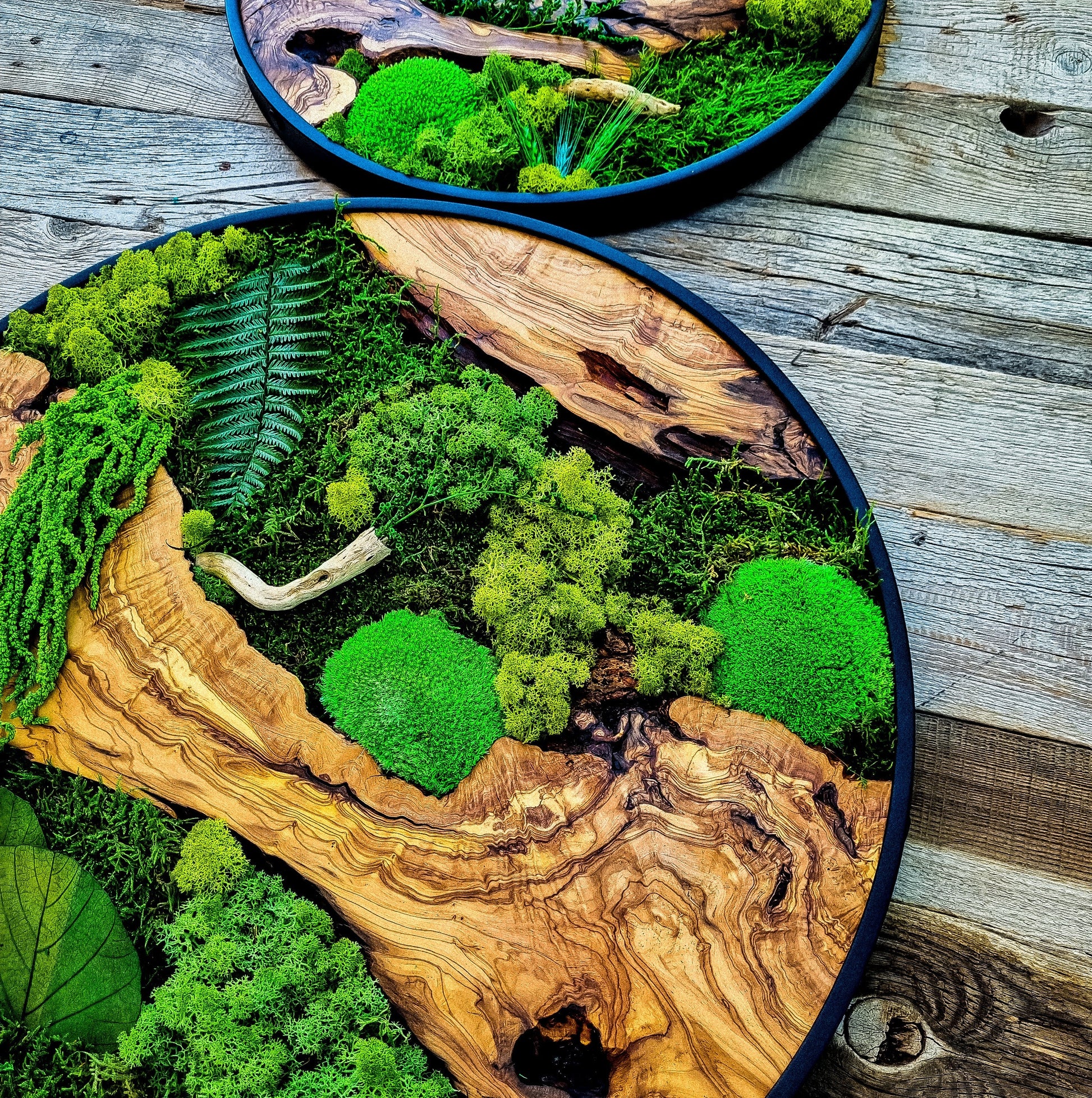 Custom Made Moss & Wood Wall-Custom Wall Decor, Moss Wall Art, Botanical Wall Art, Wall Decoration, Unique Wall Decor, Living Room Decor