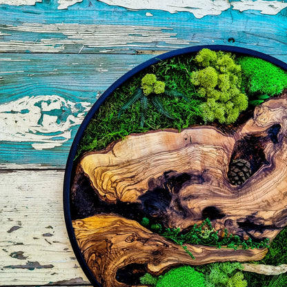 Round Wood Design with Metal Frame - Botanical Wall Art for Living Room, New home, Preserved Moss, Framed Wall Art, Wood Decor, Christmas