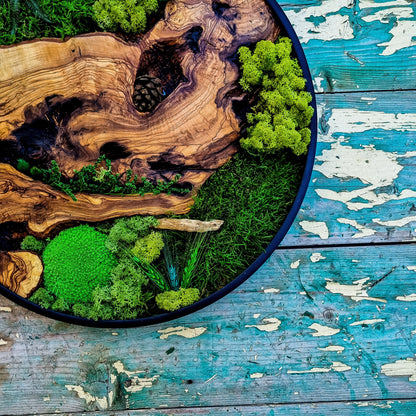 Round Wood Design with Metal Frame - Botanical Wall Art for Living Room, New home, Preserved Moss, Framed Wall Art, Wood Decor, Christmas