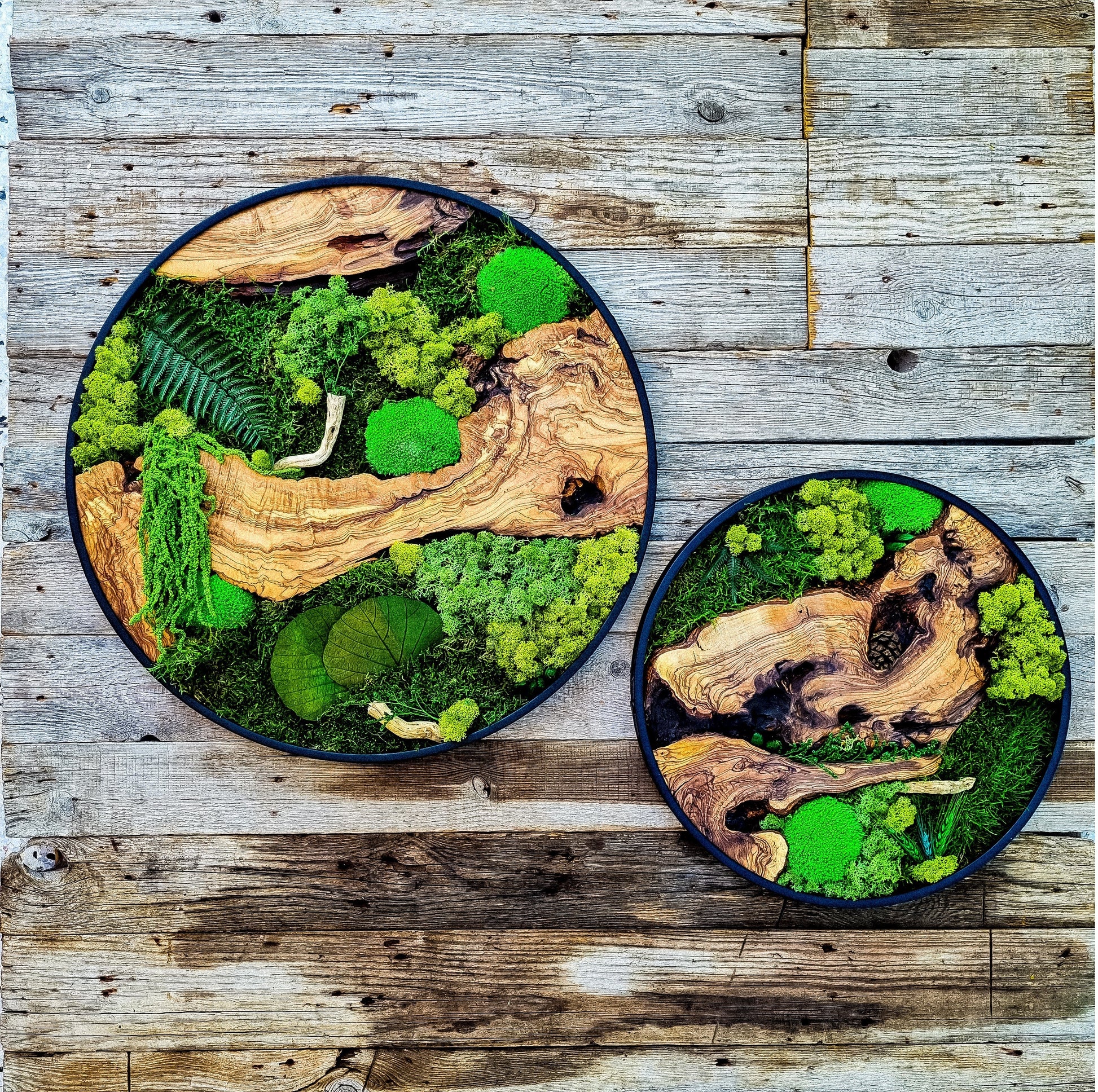 Custom Made Moss & Wood Wall-Custom Wall Decor, Moss Wall Art, Botanical Wall Art, Wall Decoration, Unique Wall Decor, Living Room Decor