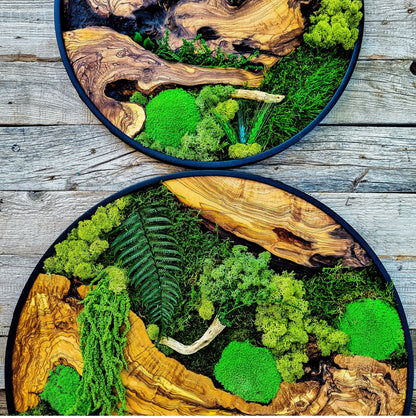Custom Made Moss & Wood Wall-Custom Wall Decor, Moss Wall Art, Botanical Wall Art, Wall Decoration, Unique Wall Decor, Living Room Decor