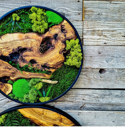 Custom Made Moss & Wood Wall-Custom Wall Decor, Moss Wall Art, Botanical Wall Art, Wall Decoration, Unique Wall Decor, Living Room Decor