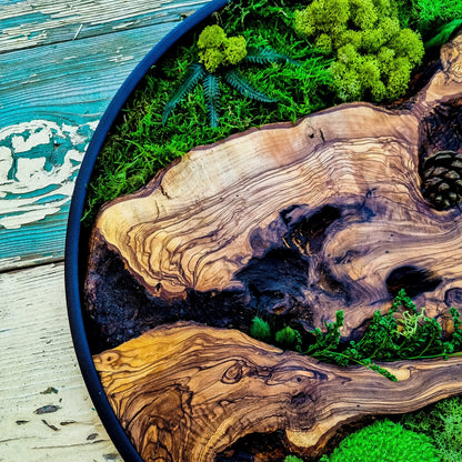 Round Wood Design with Metal Frame - Botanical Wall Art for Living Room, New home, Preserved Moss, Framed Wall Art, Wood Decor, Christmas