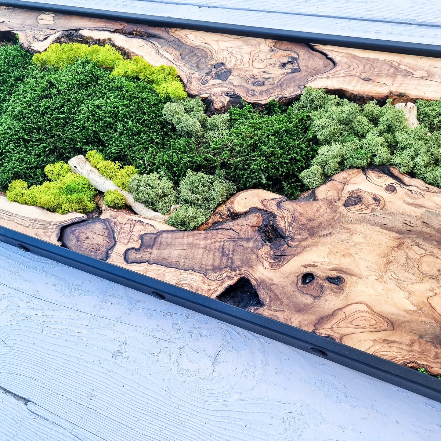 Moss Wall Decor - Olive Wood & Preserved Moss Wall Art