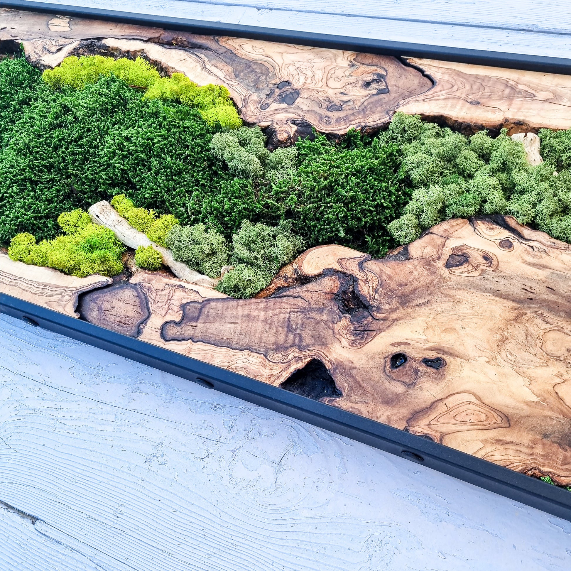 Moss Wall Decor - Olive Wood & Preserved Moss Wall Art