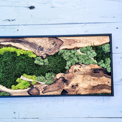 Moss Wall Decor - Olive Wood & Preserved Moss Wall Art