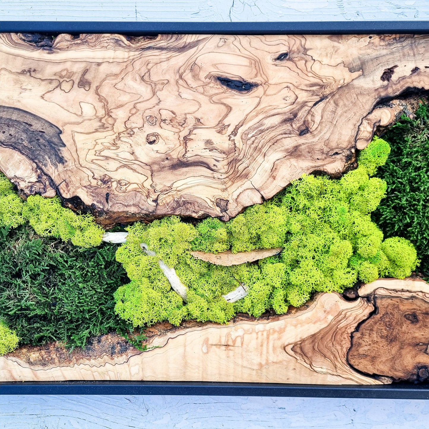 Moss Wall Decor - Olive Wood & Preserved Moss Wall Art