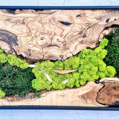 Moss Wall Decor - Olive Wood & Preserved Moss Wall Art