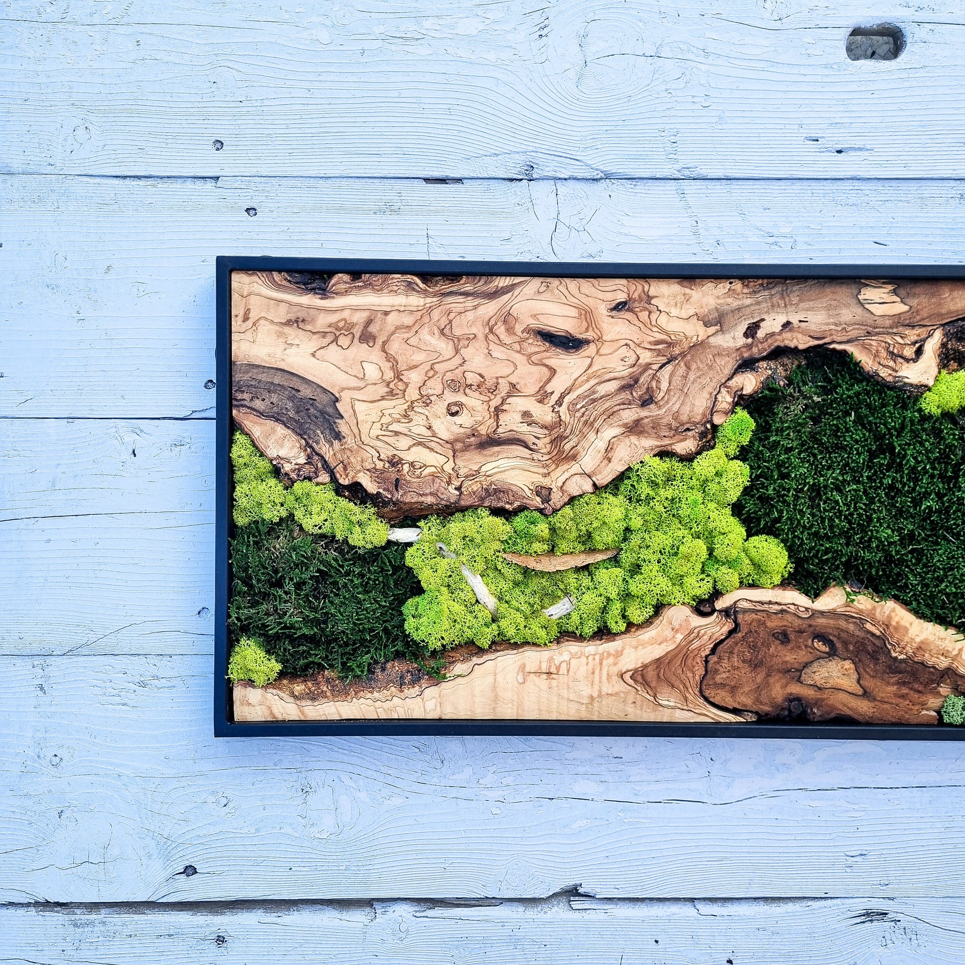 Moss Wall Decor - Olive Wood & Preserved Moss Wall Art