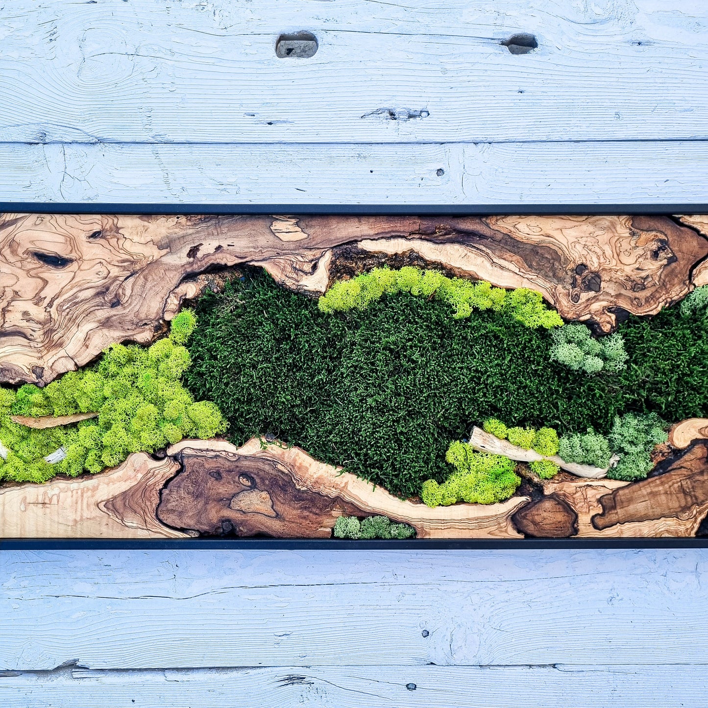 Moss Wall Decor - Olive Wood & Preserved Moss Wall Art