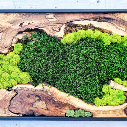 Moss Wall Decor - Olive Wood & Preserved Moss Wall Art