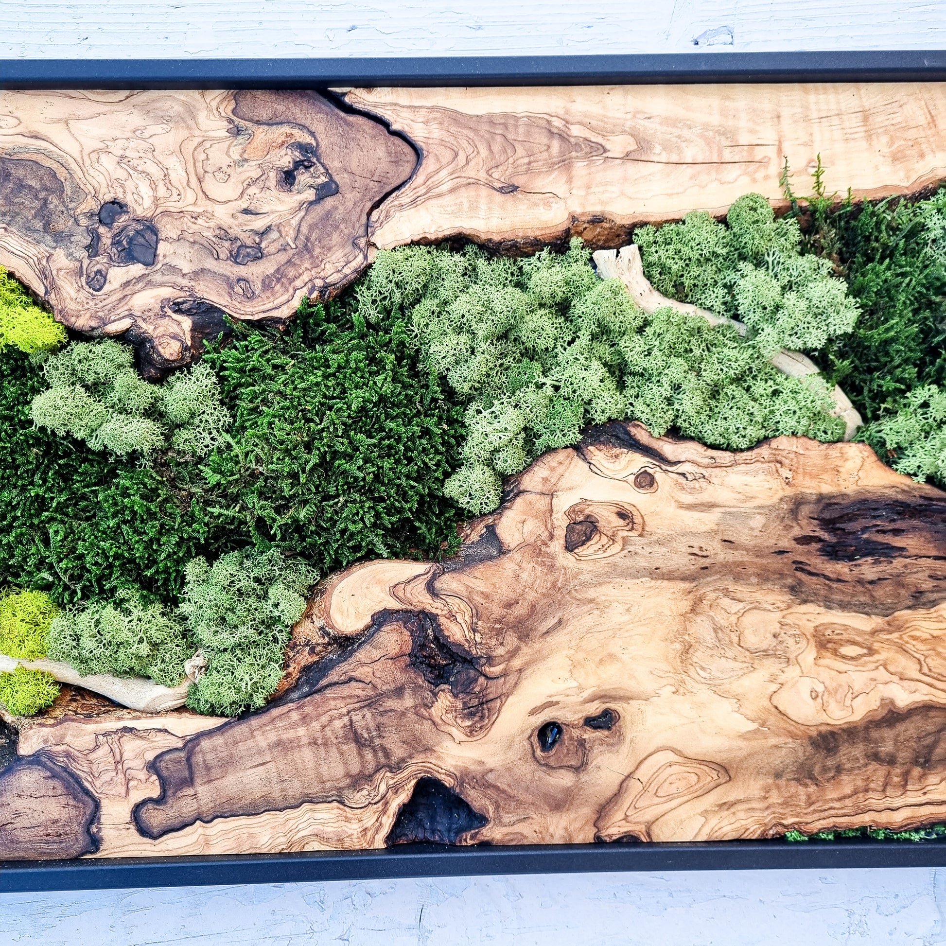 Moss Wall Decor - Olive Wood & Preserved Moss Wall Art