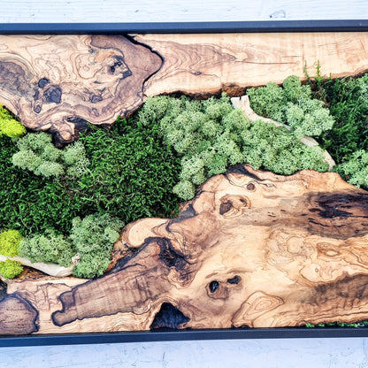 Moss Wall Decor - Olive Wood & Preserved Moss Wall Art