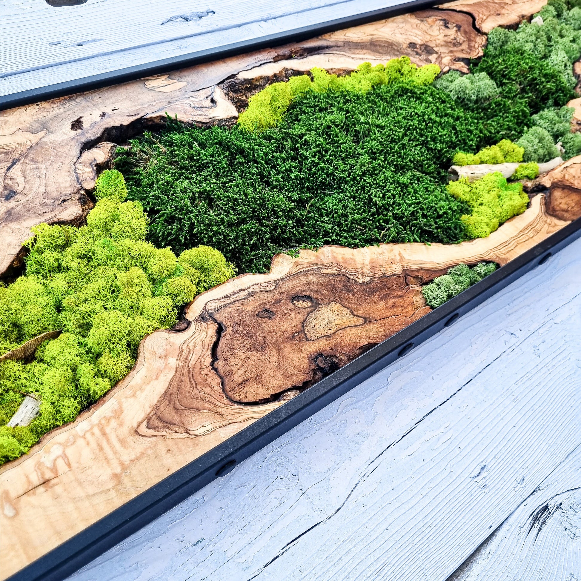 Moss Wall Decor - Olive Wood & Preserved Moss Wall Art