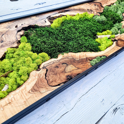 Moss Wall Decor - Olive Wood & Preserved Moss Wall Art