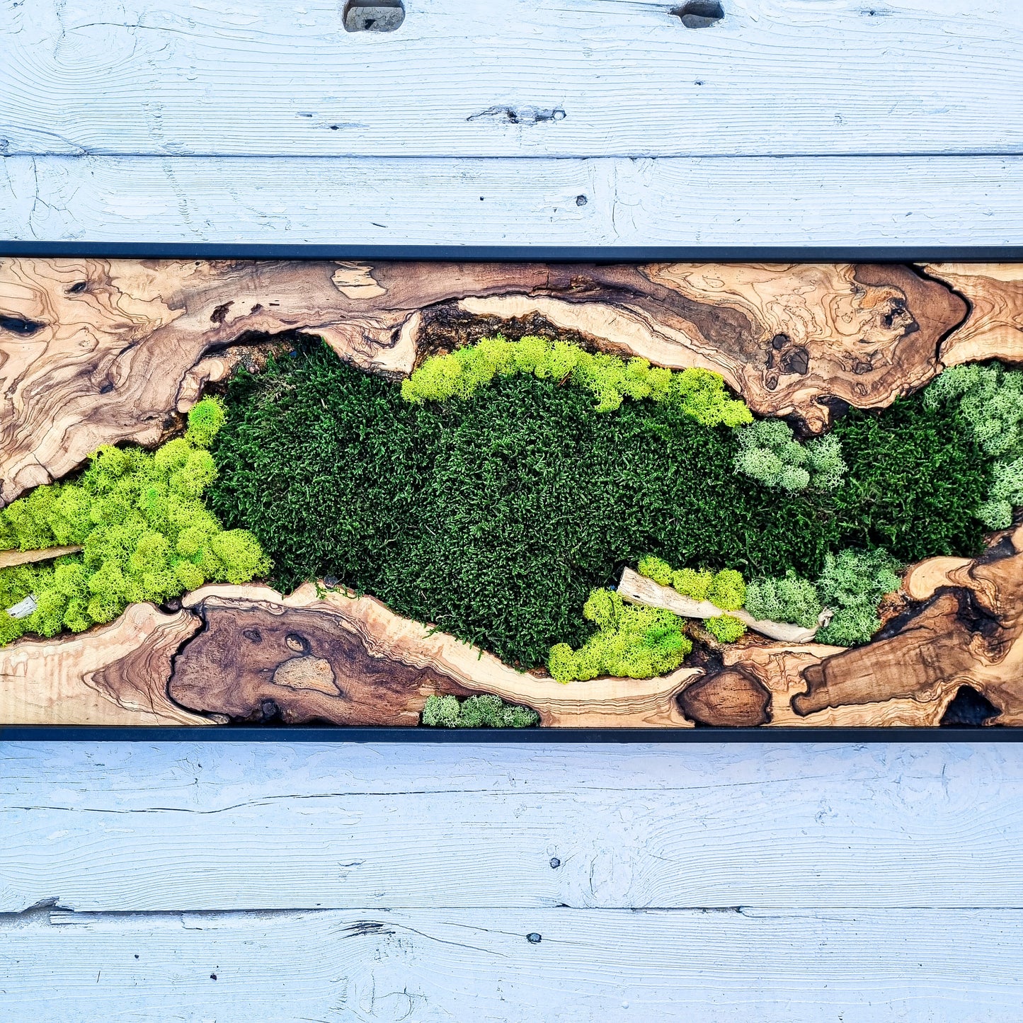 Moss Wall Decor - Olive Wood & Preserved Moss Wall Art