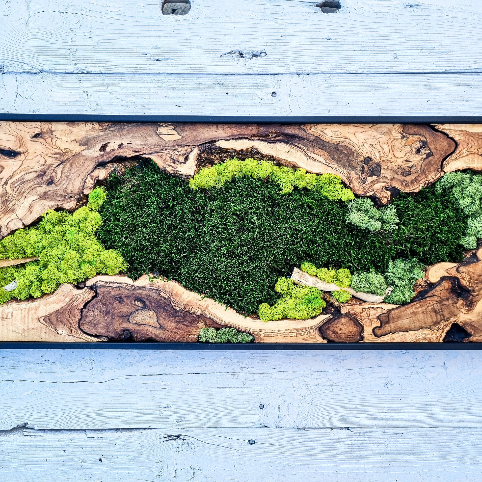 Moss Wall Decor - Olive Wood & Preserved Moss Wall Art