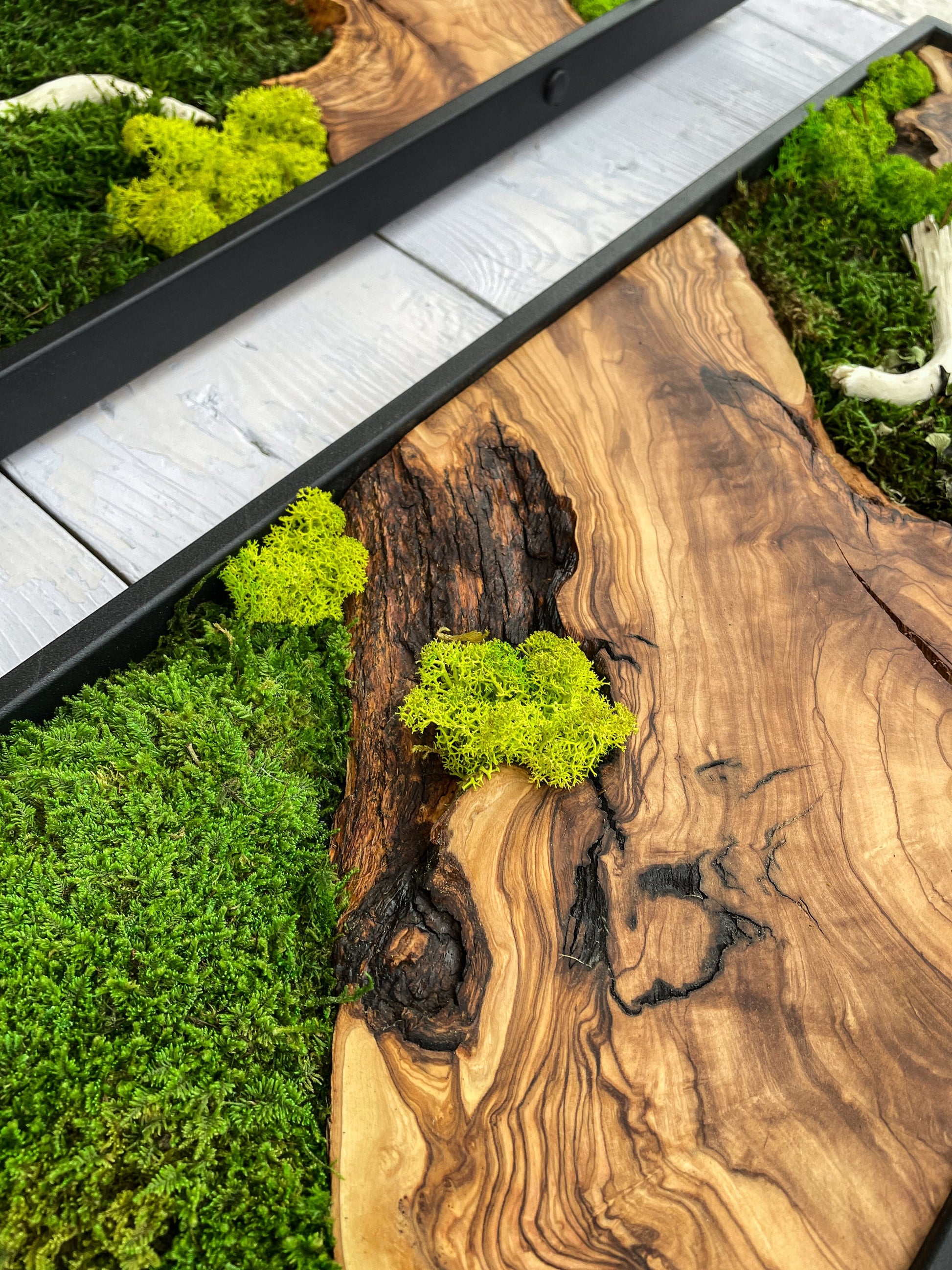 Moss Wall Decor, Moss Wall Art, Wood & Preserved Moss