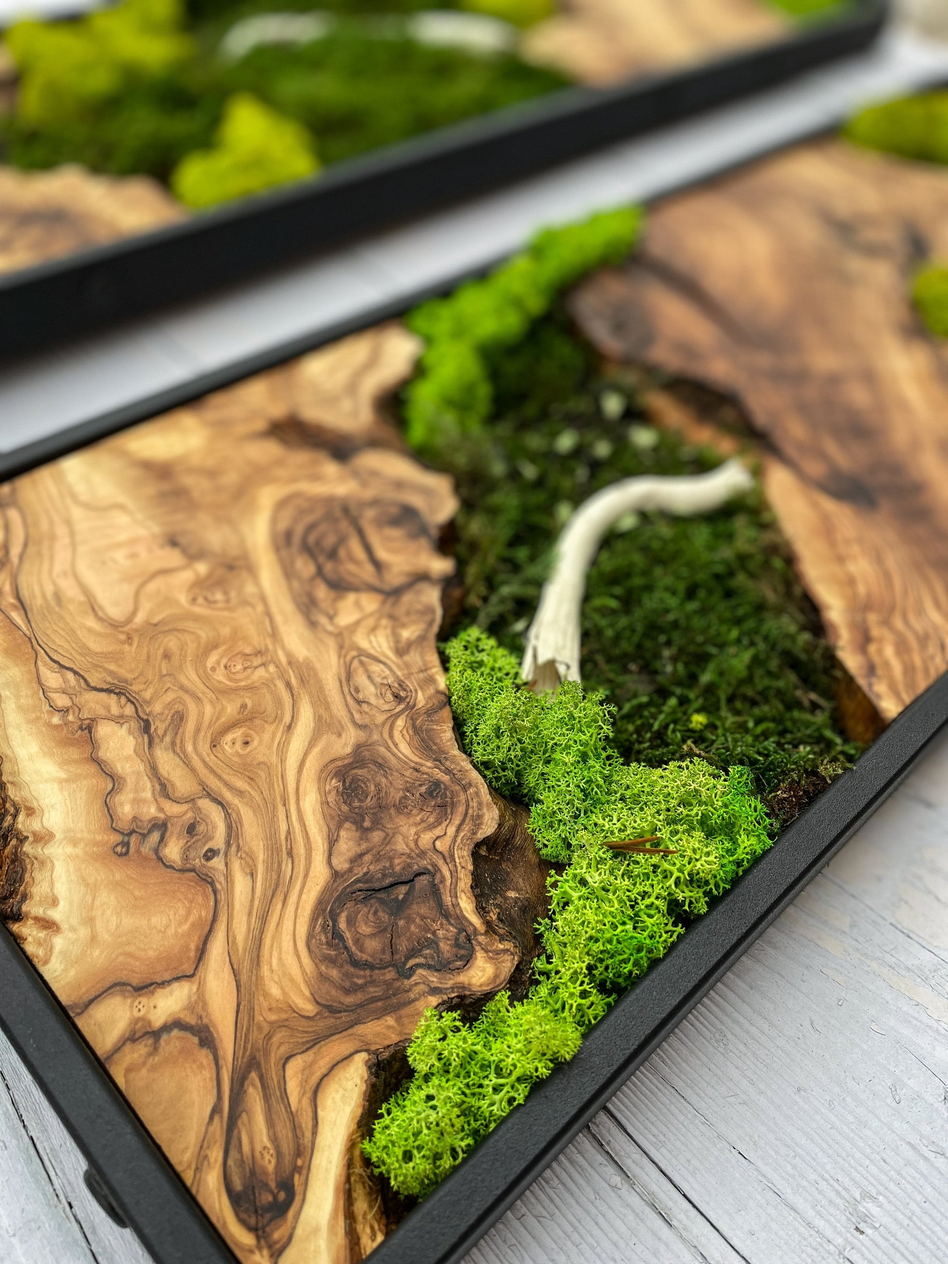 Moss Wall Decor, Moss Wall Art, Wood & Preserved Moss