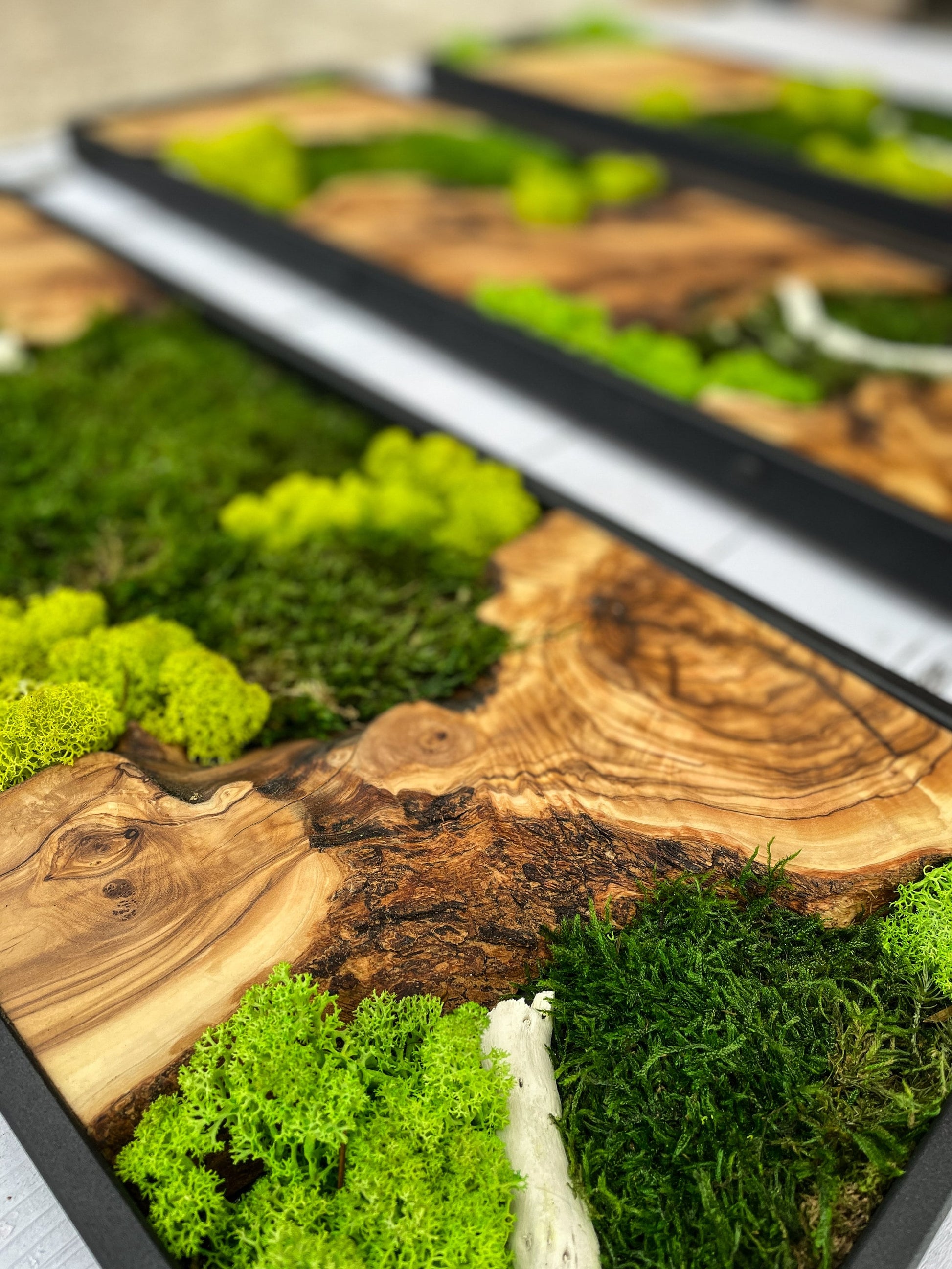 Moss Wall Decor, Moss Wall Art, Wood & Preserved Moss