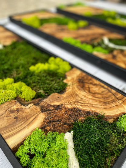 Moss Wall Decor, Moss Wall Art, Wood & Preserved Moss