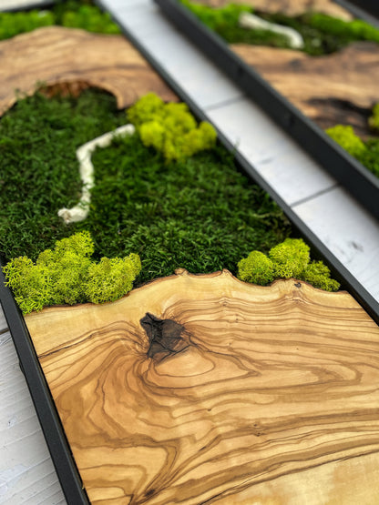 Moss Wall Decor, Moss Wall Art, Wood & Preserved Moss