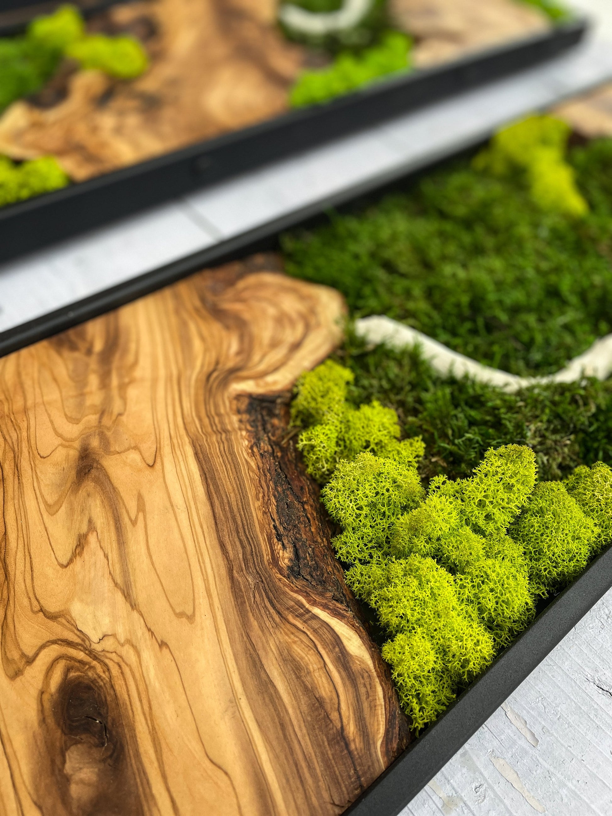 Moss Wall Decor, Moss Wall Art, Wood & Preserved Moss