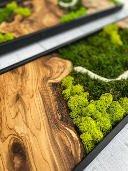 Moss Wall Decor, Moss Wall Art, Wood & Preserved Moss