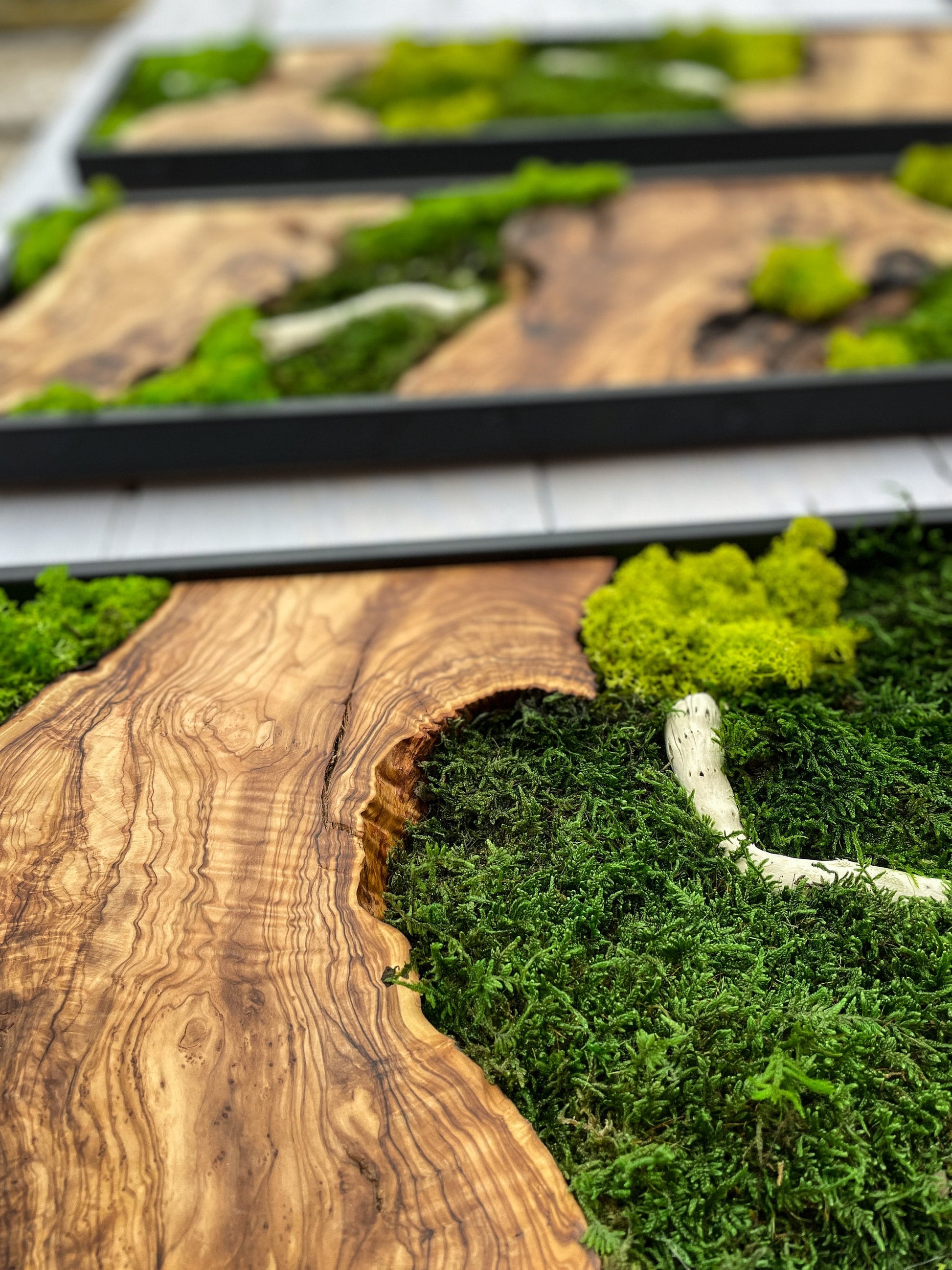 Moss Wall Decor, Moss Wall Art, Wood & Preserved Moss