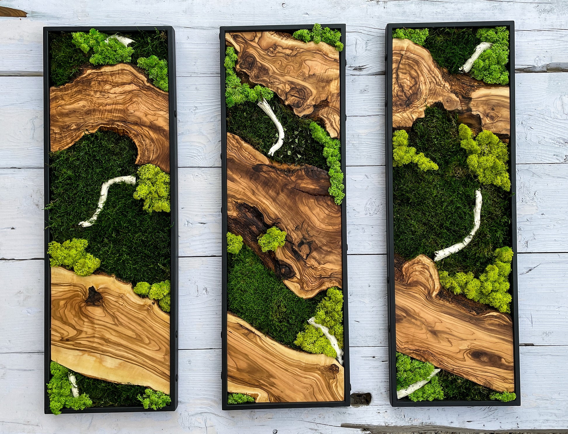 Moss Wall Decor, Moss Wall Art, Wood & Preserved Moss