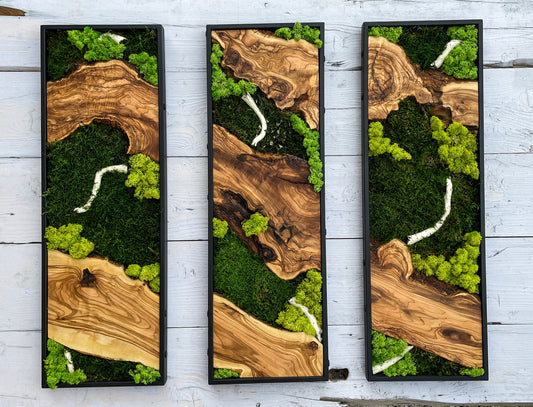 Moss Wall Decor, Moss Wall Art, Wood & Preserved Moss
