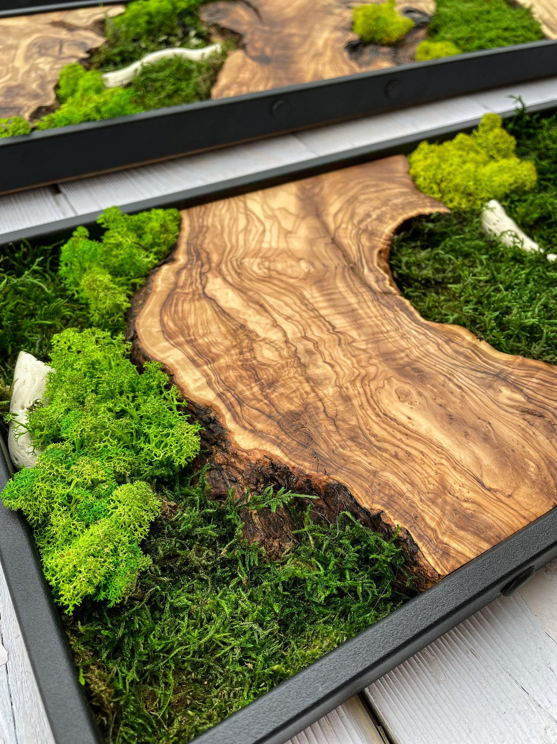 Moss Wall Decor, Moss Wall Art, Wood & Preserved Moss