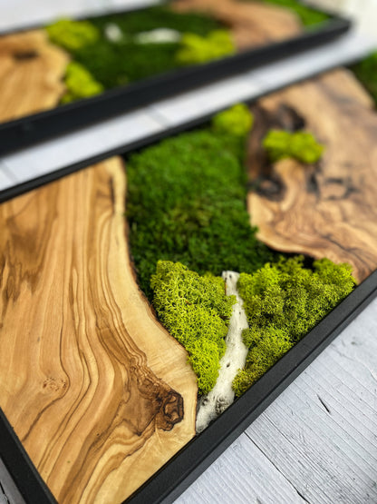 Moss Wall Decor, Moss Wall Art, Wood & Preserved Moss